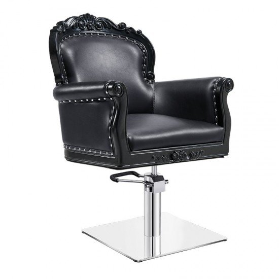 all purpose salon chair